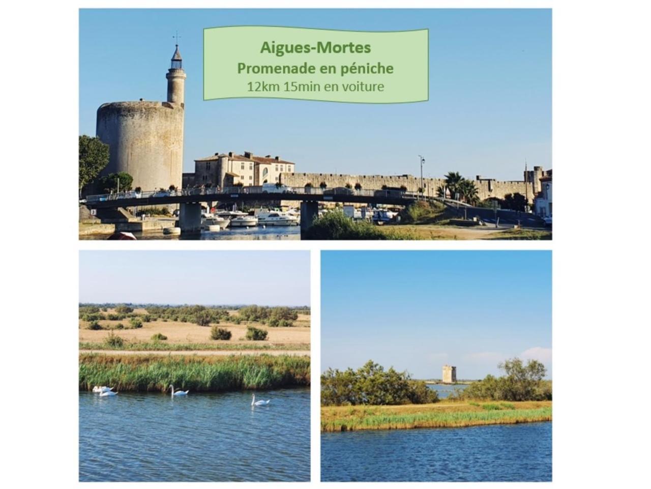 T2 West City Parking Clim Wifi 4Pers - Rossiconciergerie - Linge Inclus La Grande Motte Bagian luar foto